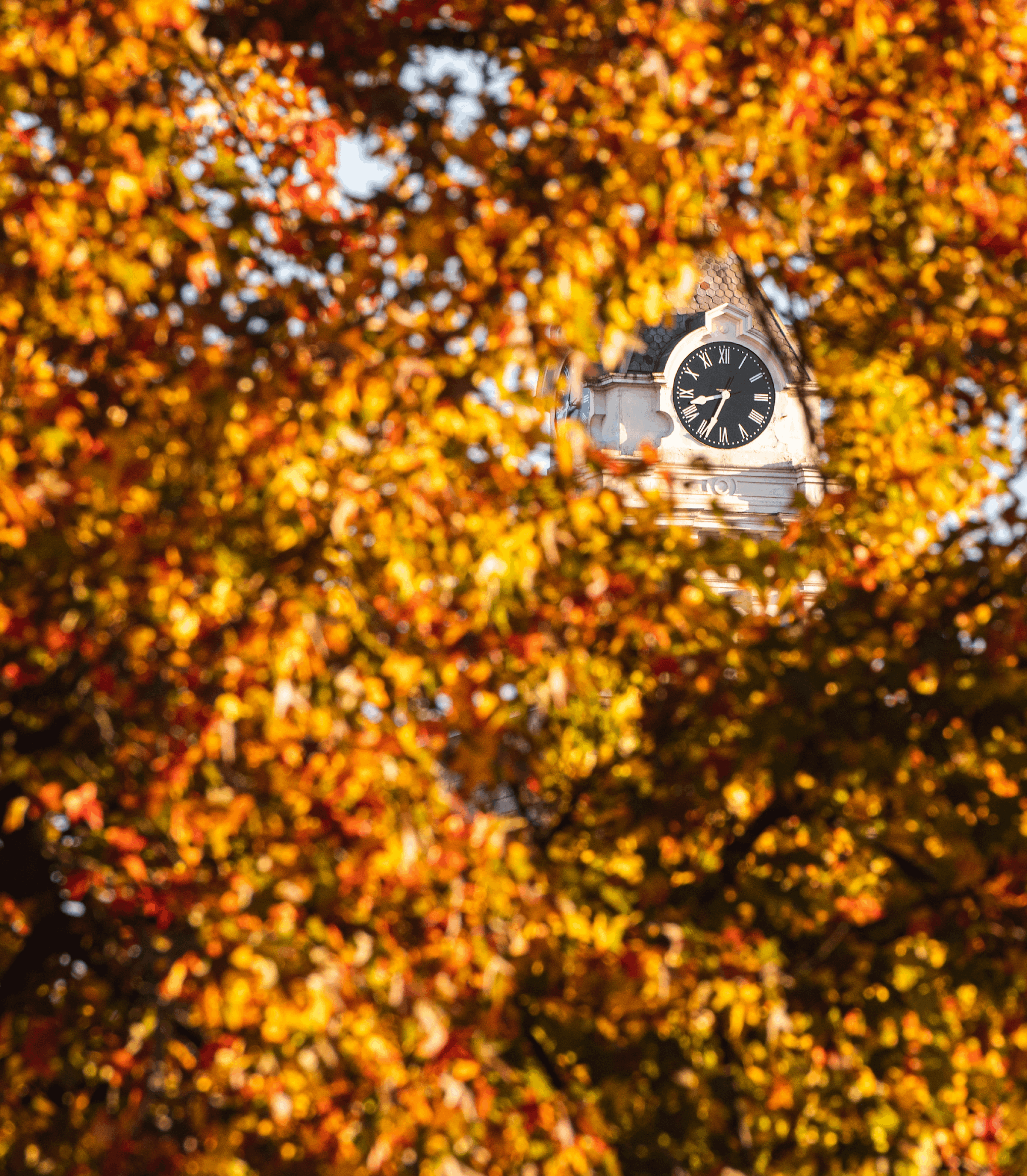 Fall colors at Ohio University